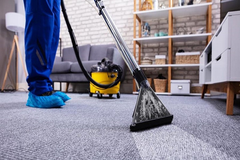 10 Reasons Hiring Professional Carpet Cleaners Is The Best Option Magic City Gardening